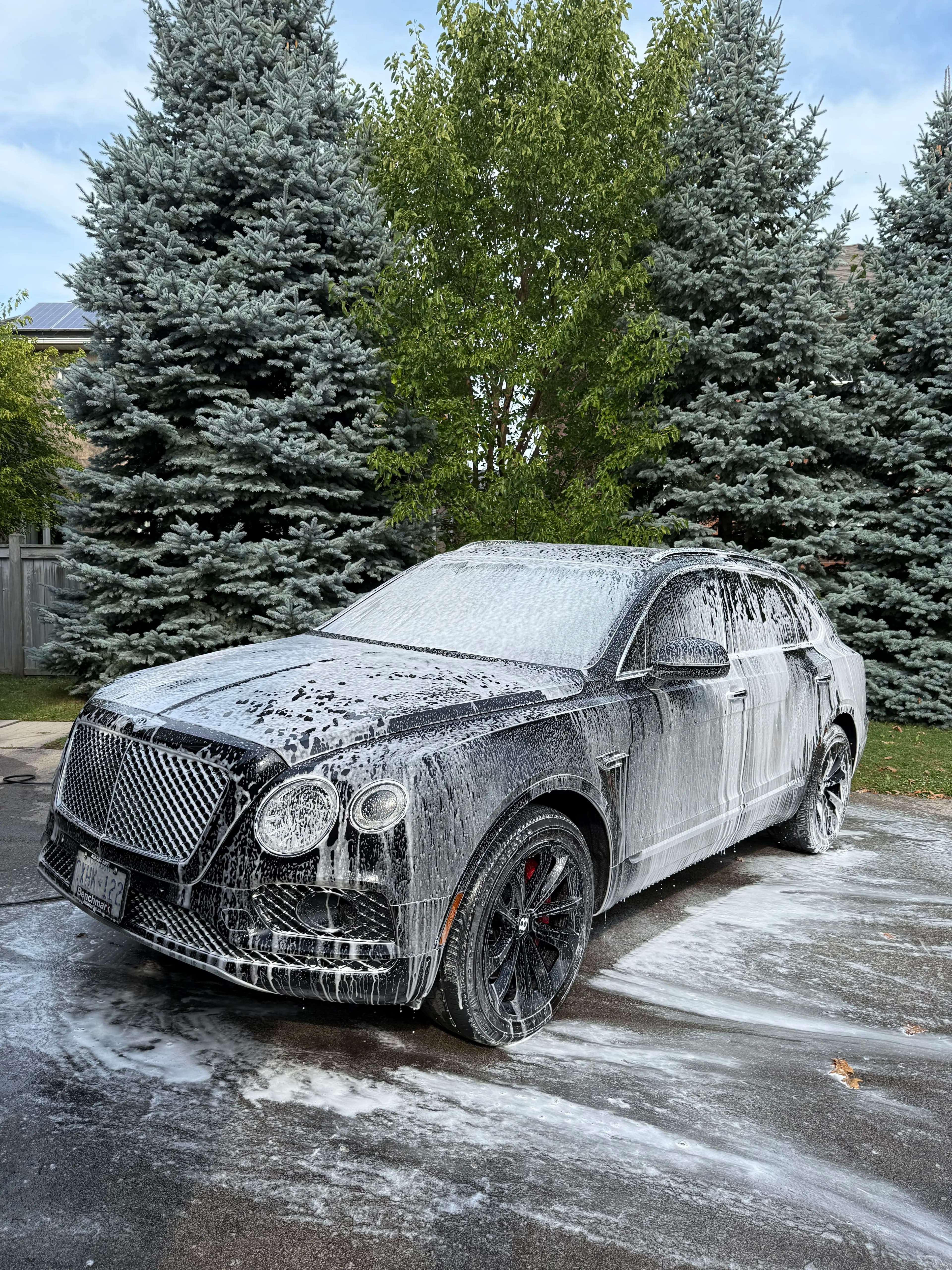 Exterior detail · wash & decon — before